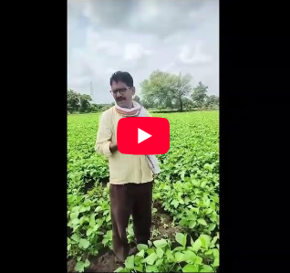 How KHETIKA Revives Soil Microbes & Enhances Crop Growth